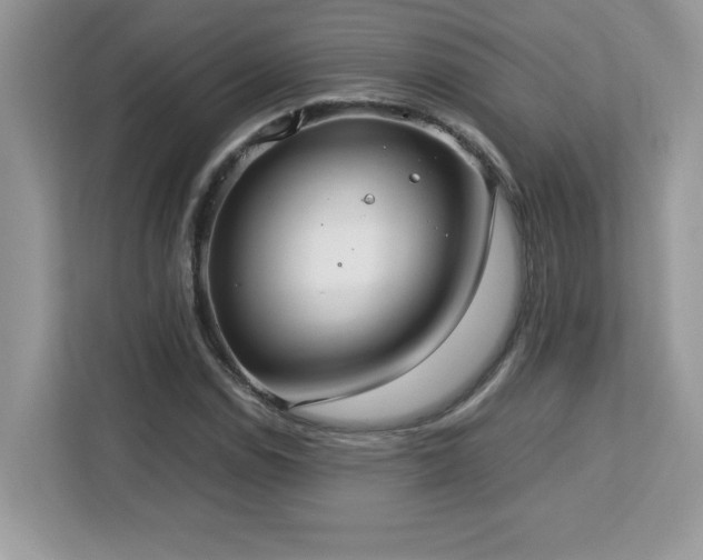 X0000113111114200908281403