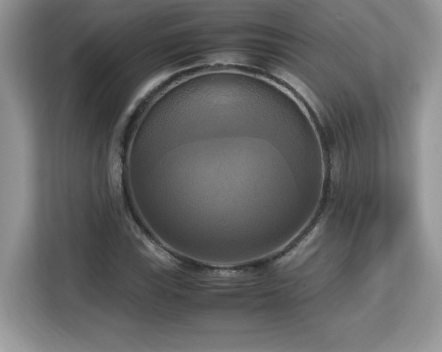 X0000113111115200908281403