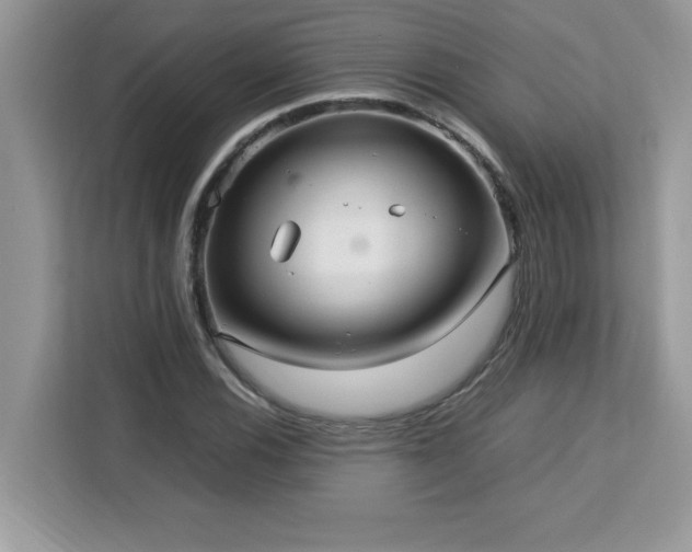 X0000113111116200908281403