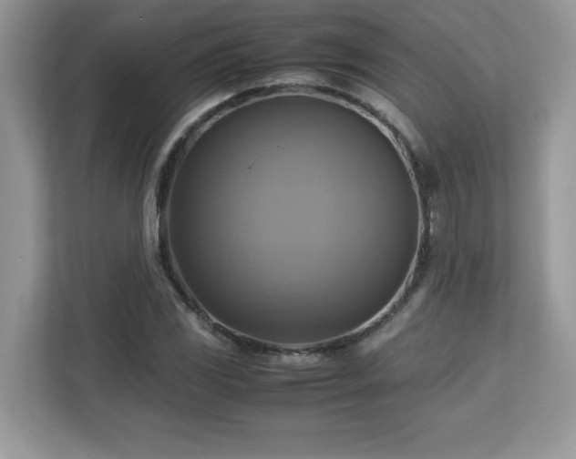 X0000113111117200908281403