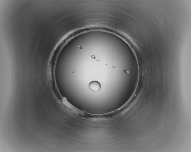 X0000113111118200908281403