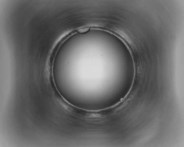 X0000113111119200908281403