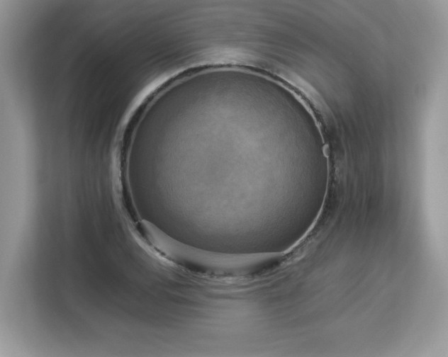 X0000113111120200908281403
