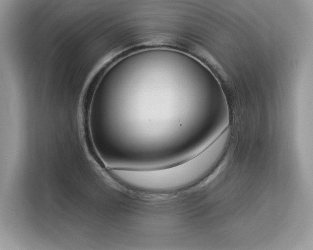 X0000113111122200908281403
