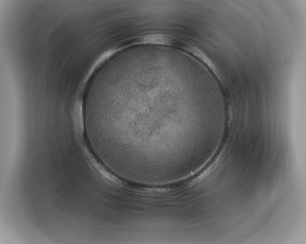 X0000113111123200908281403