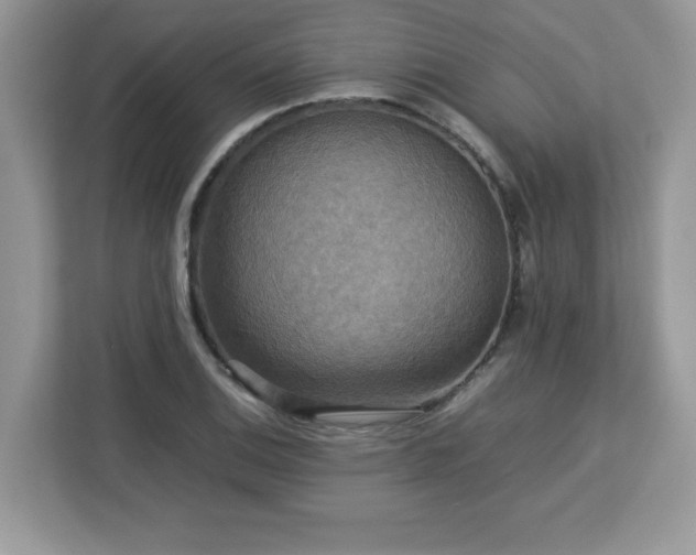X0000113111124200908281403