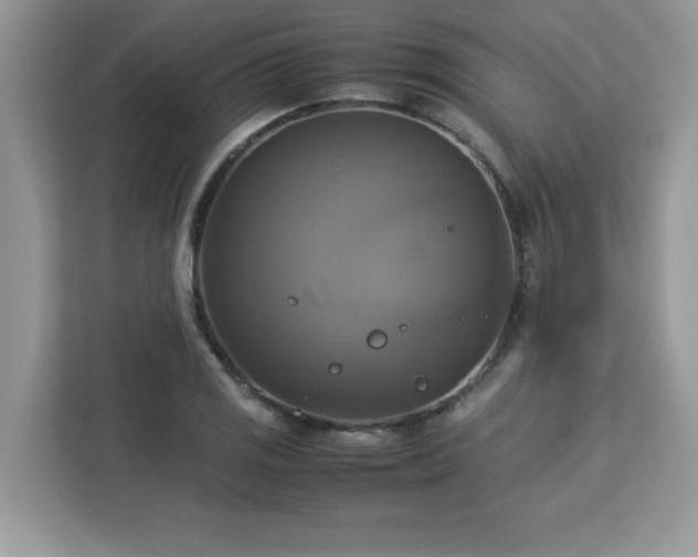 X0000113111125200908281403