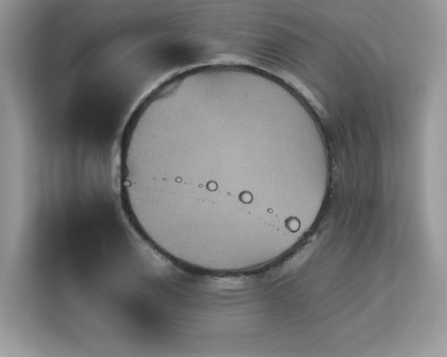 X0000113111126200908281403