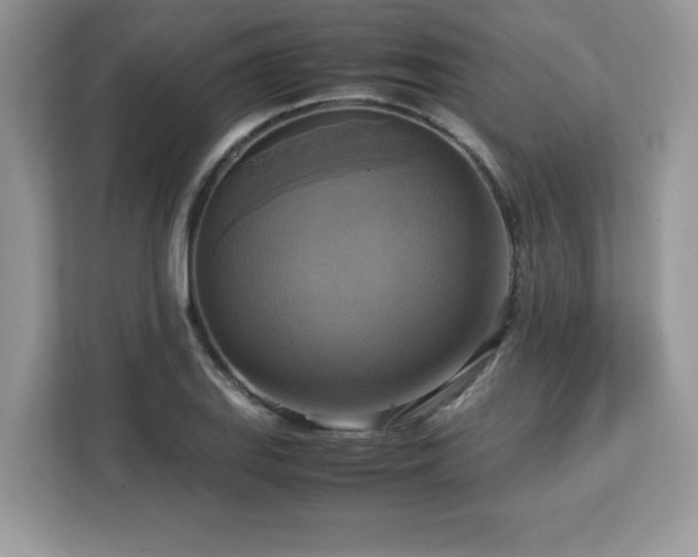 X0000113111127200908281403