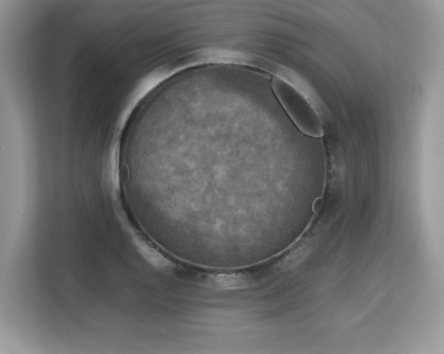 X0000113111128200908281403