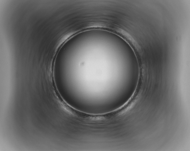 X0000113111129200908281403