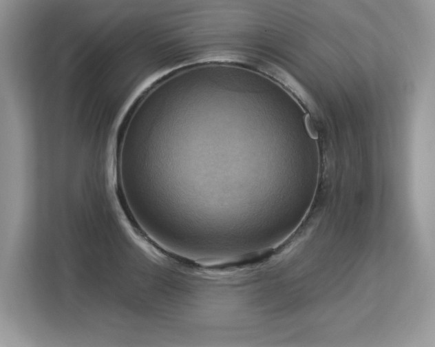 X0000113111132200908281403
