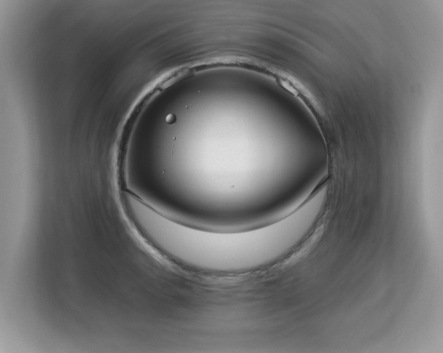 X0000113111134200908281403