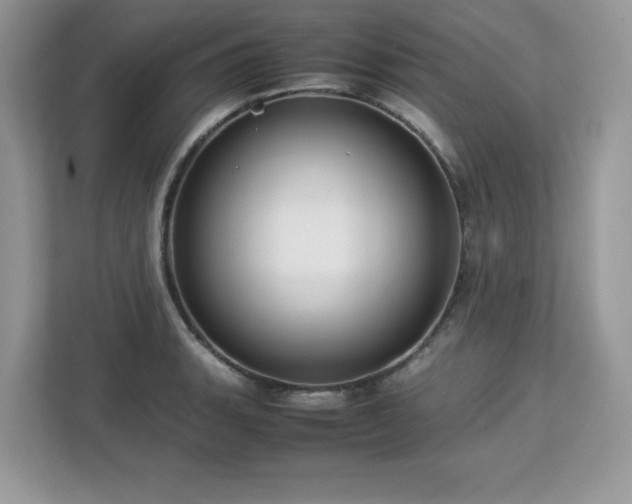 X0000113111135200908281403