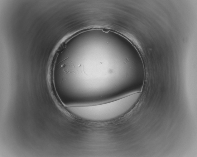 X0000113111136200908281403