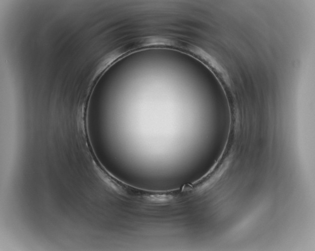 X0000113111137200908281403