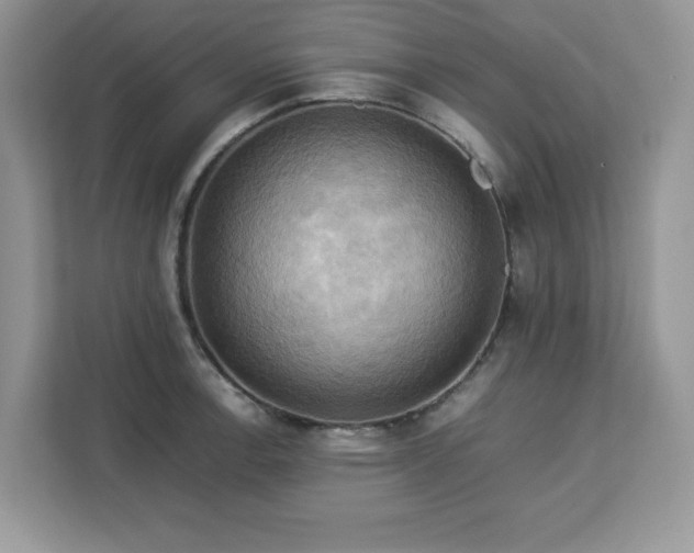 X0000113111138200908281403