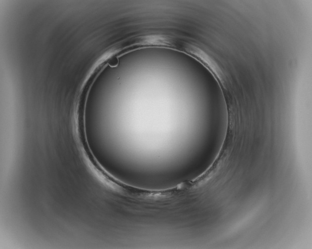 X0000113111139200908281403