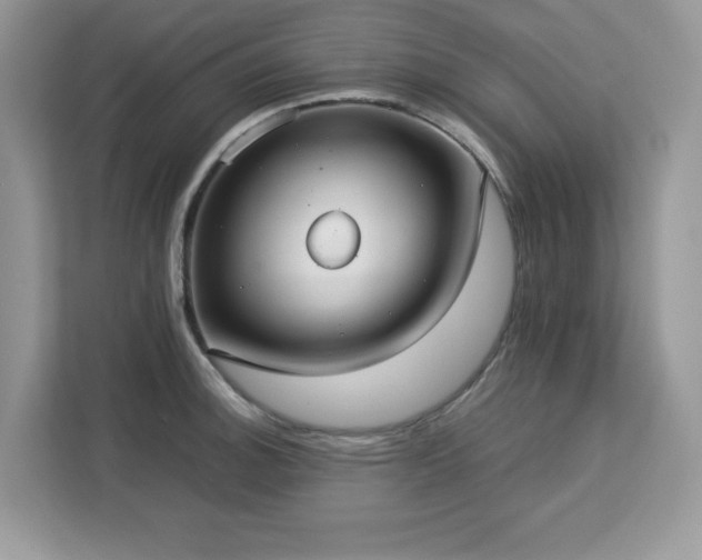 X0000113111140200908281403