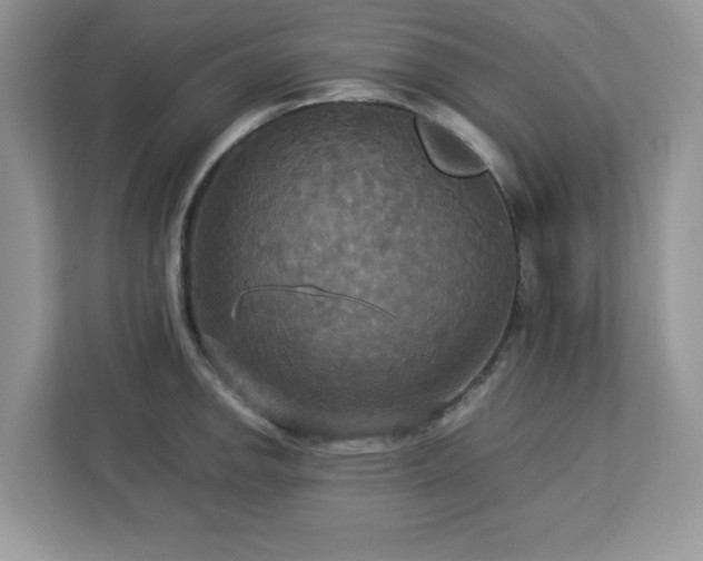 X0000113111142200908281403