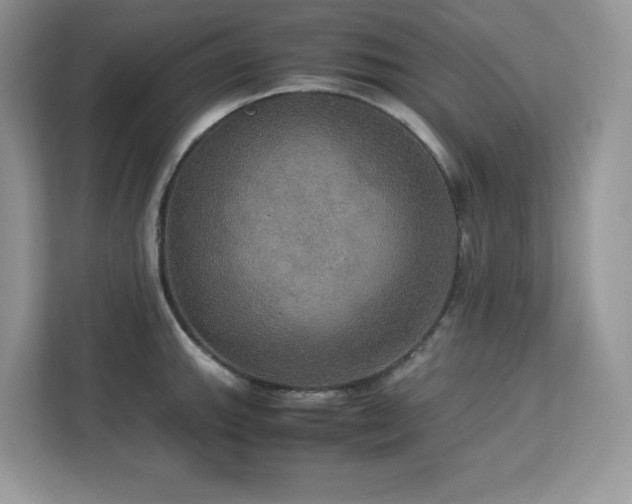 X0000113111143200908281403