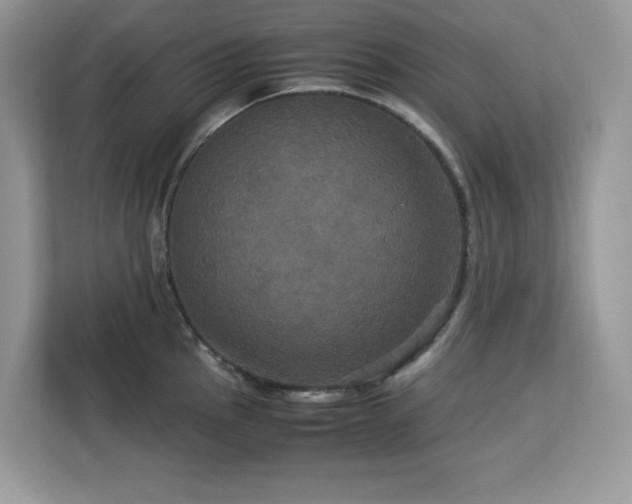X0000113111145200908281403