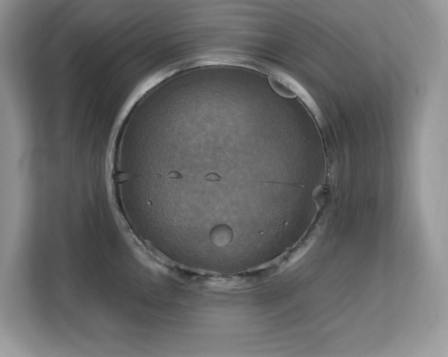 X0000113111146200908281403