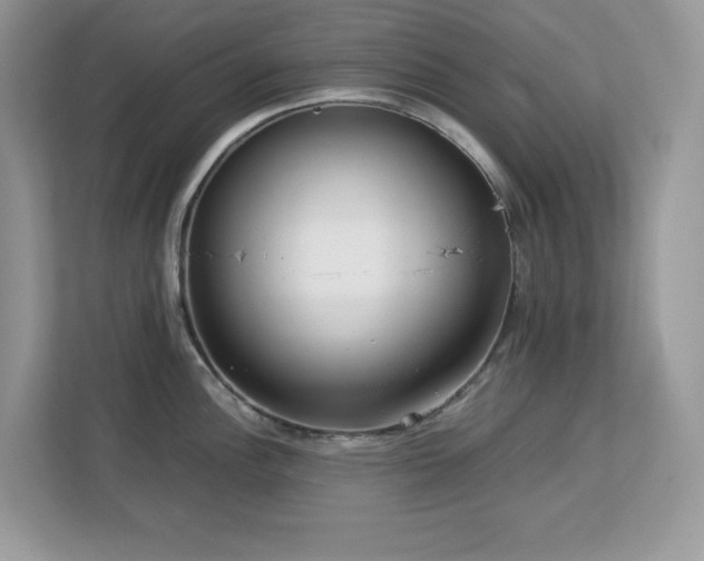 X0000113111148200908281403