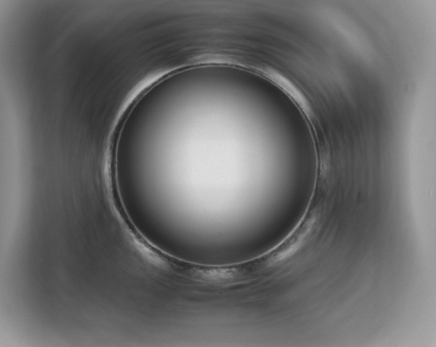 X0000113111149200908281403
