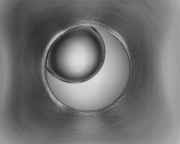 X0000113111152200908281403