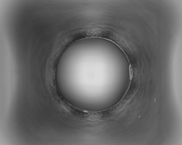 X0000113111153200908281402