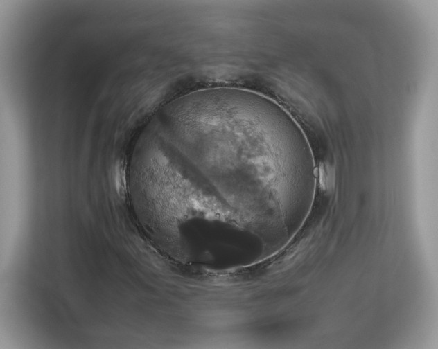 X0000113111155200908281402