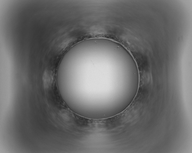 X0000113111157200908281402