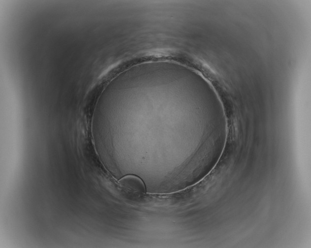 X0000113111158200908281402