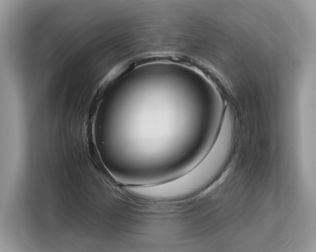 X0000113111162200908281402