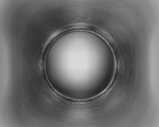X0000113111164200908281402