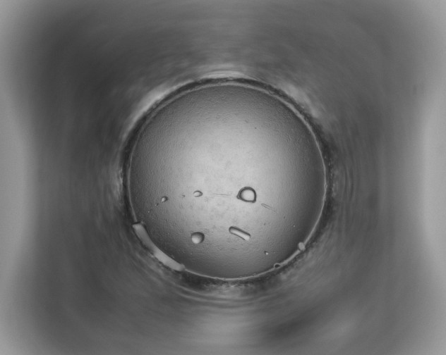 X0000113111167200908281402