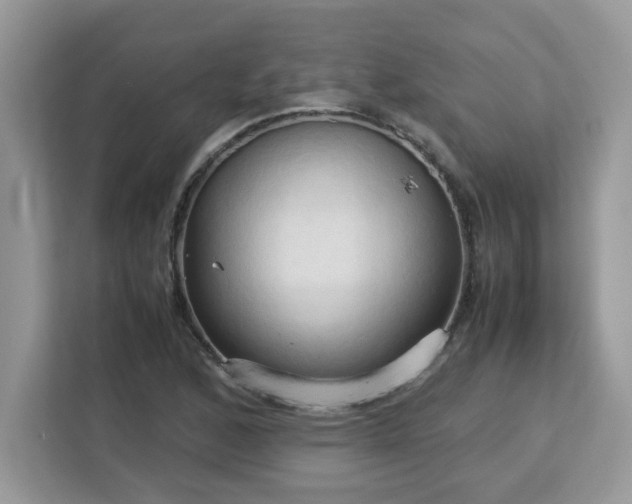 X0000113111168200908281402