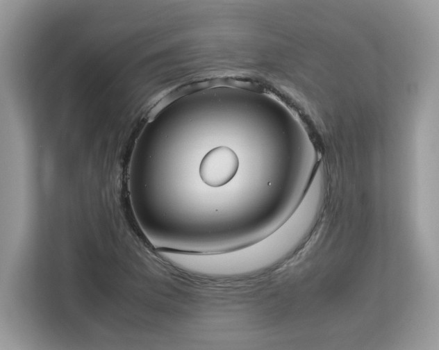 X0000113111169200908281402