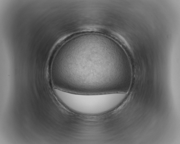 X0000113111172200908281402