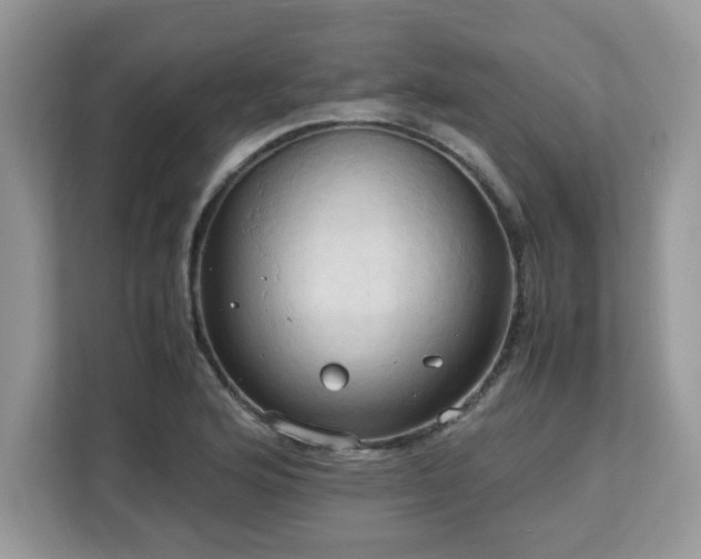 X0000113111176200908281402