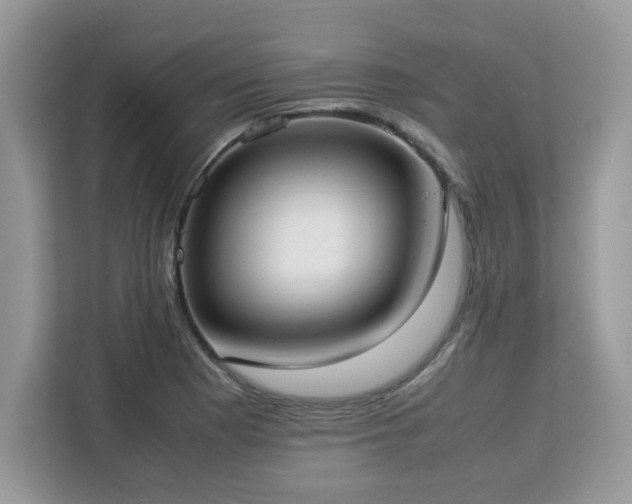 X0000113111177200908281402