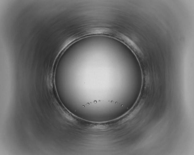 X0000113111178200908281402