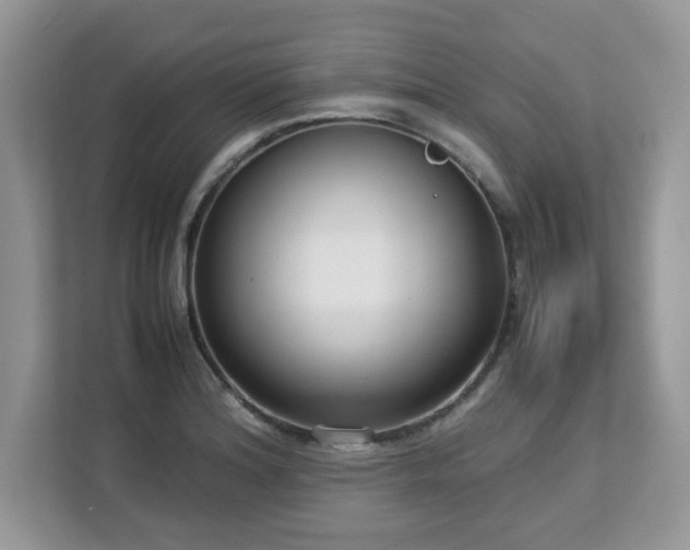 X0000113111180200908281402