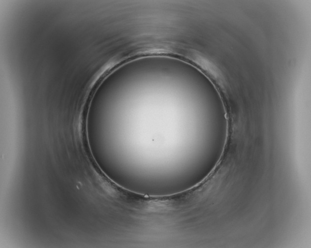 X0000113111181200908281402