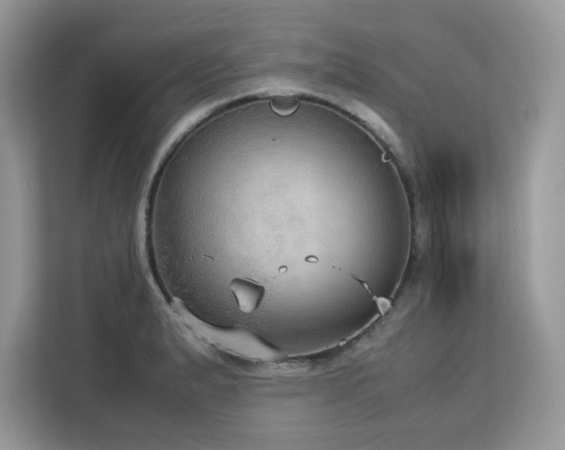 X0000113111183200908281402