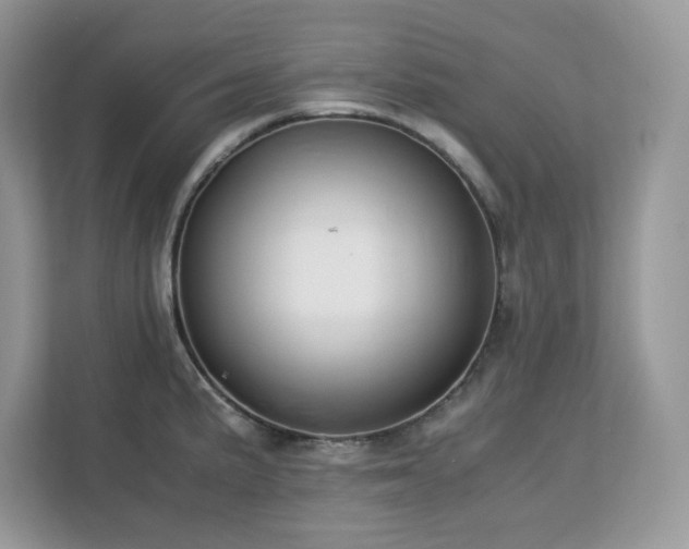 X0000113111191200908281402