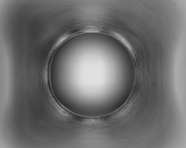 X0000113111195200908281402