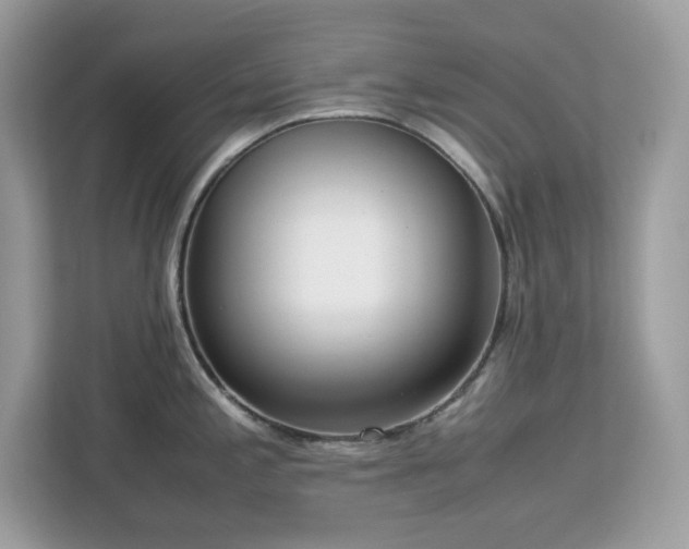 X0000113111197200908281402