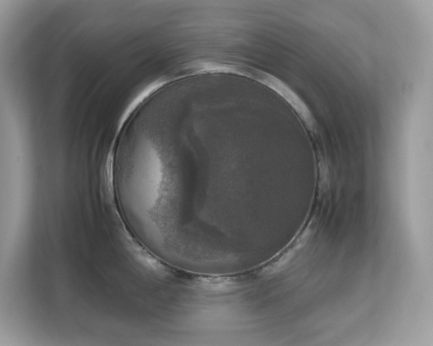 X0000113111198200908281402